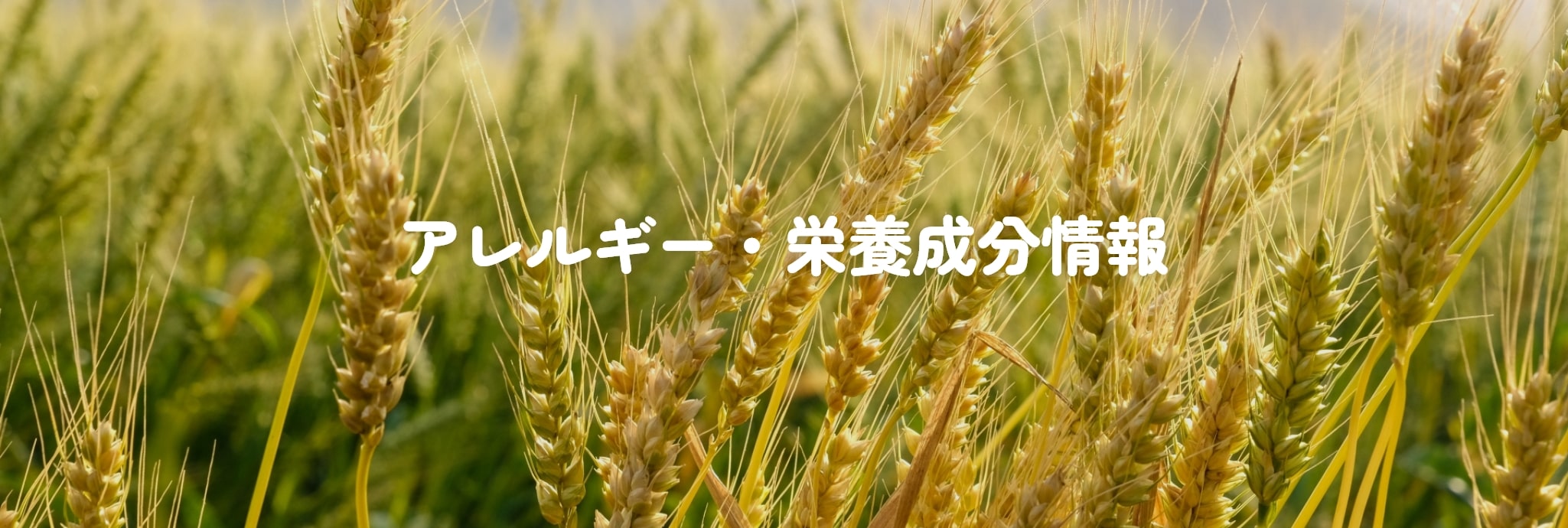 アレルギー・栄養成分情報