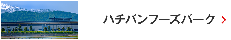 ハチバンフーズパーク